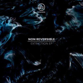 Non Reversible Riot