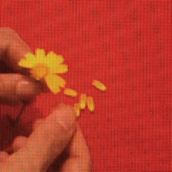 Исполнитель Elijah Waters, альбом if i'm not, if i am