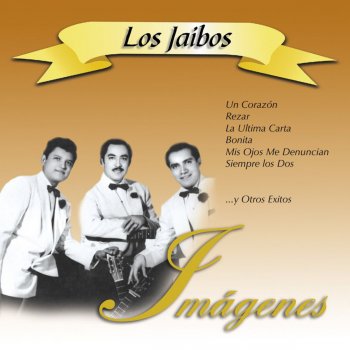 Los Jaibos La Última Carta
