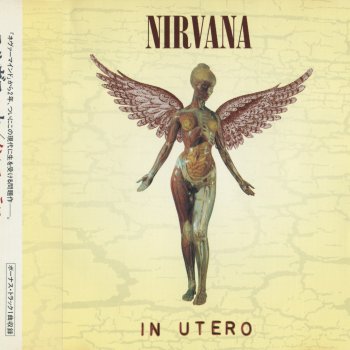 Nirvana Heart Shaped Box (Original Steve Albini 1993 Mix)