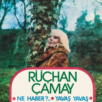 Rüçhan Çamay Ne Haber