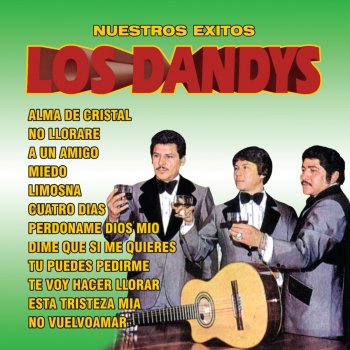 Los Dandys No Vuelvo Amar