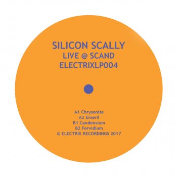 Silicon Scally Antrium