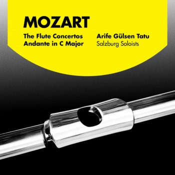 Salzburg Soloists feat. Arife Gülsen Tatu Bonus Track: Quartet No. 1 In D Major for Flute and String Trio, K. 285: I. Allegro