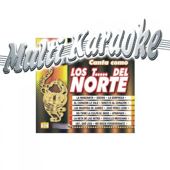 Multi Karaoke La Manzanita