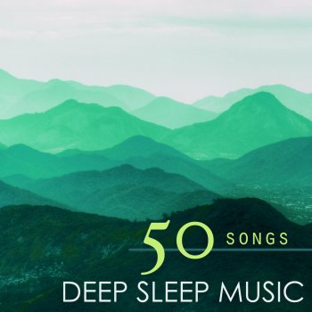 Deep Sleep feat. Shakuhachi Sakano Four Seasons