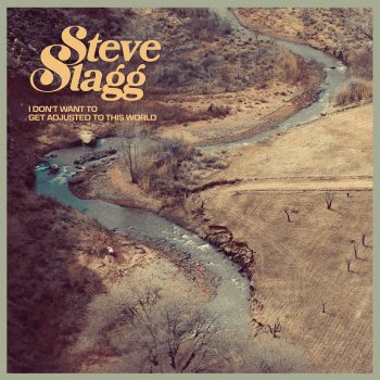 Steve Slagg Indigo Bunting