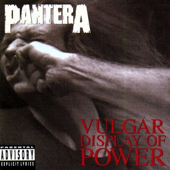 Pantera A New Level
