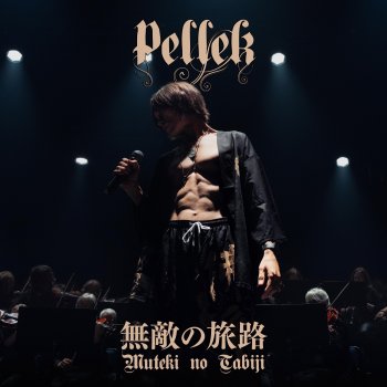 PelleK feat. Autodidactic Studios & Waterflame Hikari Kagayaku Himitsu (光り輝く秘密)