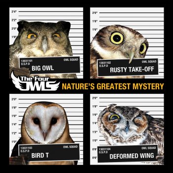 The Four Owls All My Life