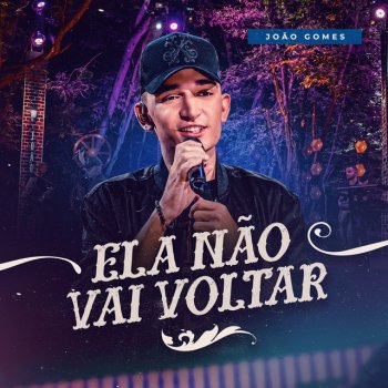 João Gomes Ela Não Vai Voltar