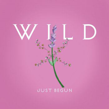 WILD Just Begun