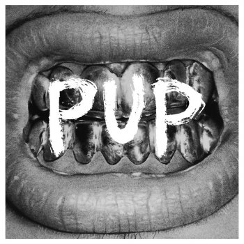 PUP Dark Days