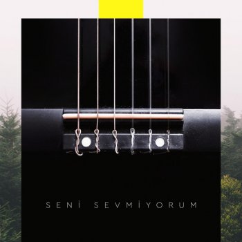 Patron Seni Sevmiyorum