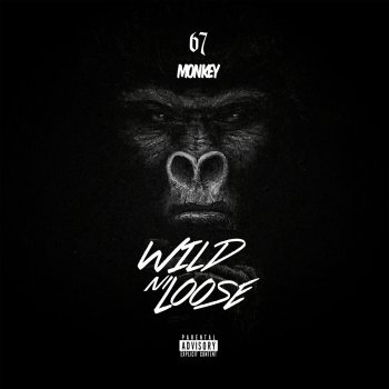 Monkey feat. Sleeks 4TF