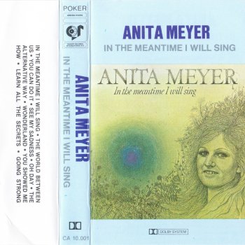 Anita Meyer You Showed Me How