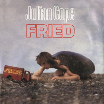 Julian Cope The Bloody Assizes