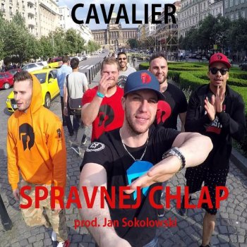 Cavalier Správnej Chlap