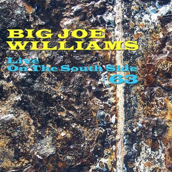 Big Joe Williams Sinkin' Blues