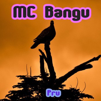 MC Bangu Haja Coração