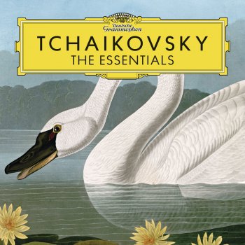 Berliner Philharmoniker feat. Mstislav Rostropovich The Sleeping Beauty, Suite, Op. 66a, TH 234: 2. Pas d'action: Rose Adagio