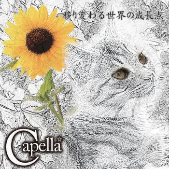 Capella Around the New World