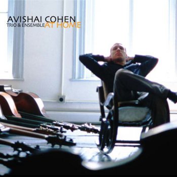 Avishai Cohen Punk (djn)