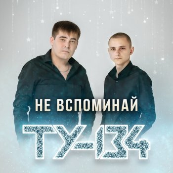 ТУ-134 Анютины глазки