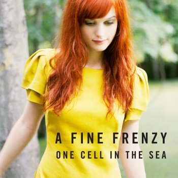 A Fine Frenzy Lifesize