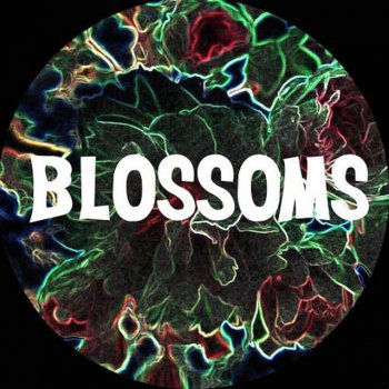 Blossoms You Pulled a Gun on Me