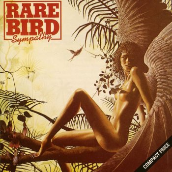 Rare Bird Bird On A Wing