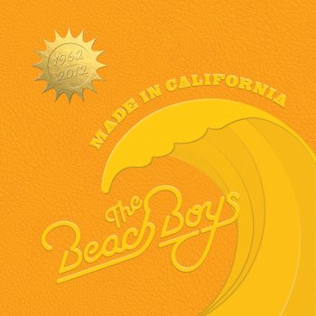 The Beach Boys You're Still a Mystery