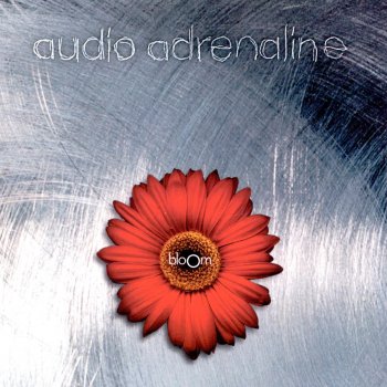 Audio Adrenaline Secret