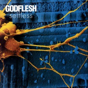 Godflesh Anything Is Mine