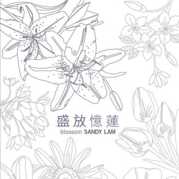Sandy Lam 燒之印度火西施 - Indian Beauty Mix