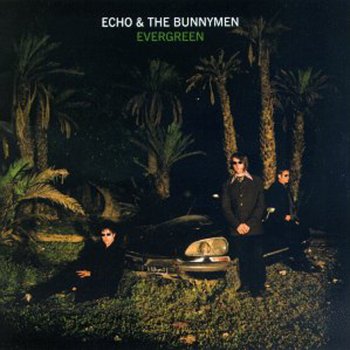 Echo & The Bunnymen Too Young to Kneel