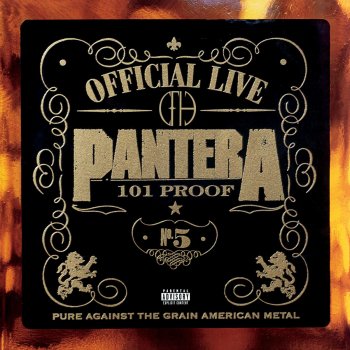 Pantera I Can't Hide