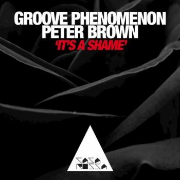 Groove Phenomenon feat. Peter Brown It's a Shame