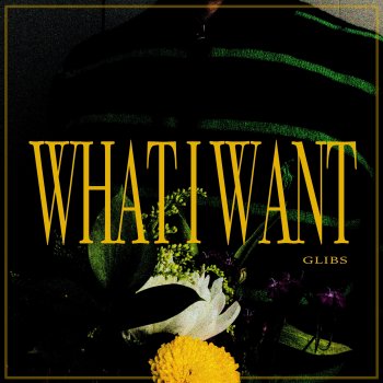 glibs What I Want