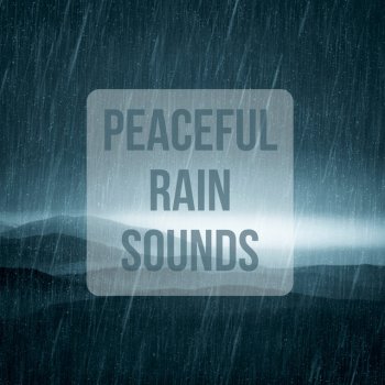 The Rain Library Rain Loop