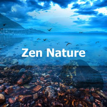 Baltic Nature Sounds Oasis Wind