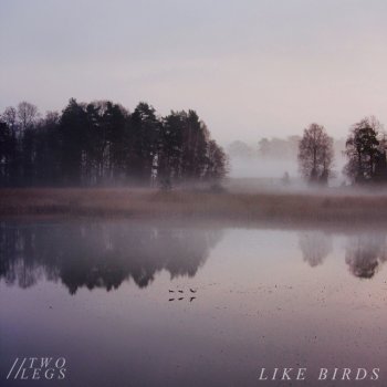 Two Legs Like Birds (Rainbow Shark Remix)