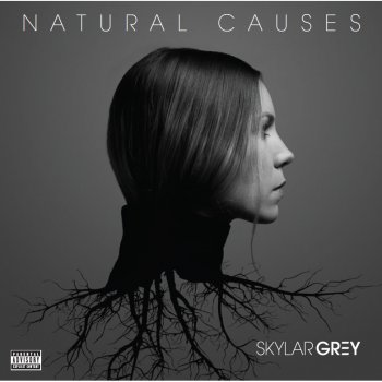 Skylar Grey Moving Mountains