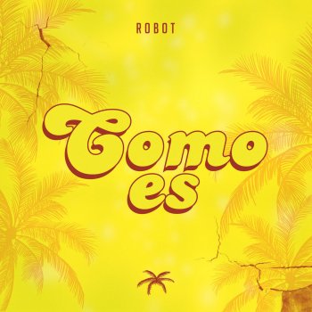Robot Como Es
