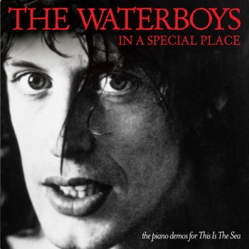 The Waterboys Paris In The Rain
