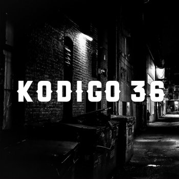 Kodigo 36 Le Saco Brillo