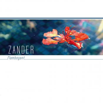 Zander Pra Onde Eu For