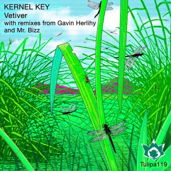 Kernel Key Vetiver - Original Mix