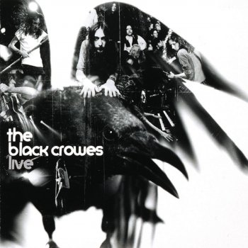 The Black Crowes Title Song