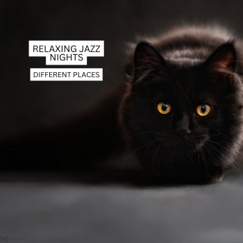 Relaxing Jazz Nights Under the Cover of Night